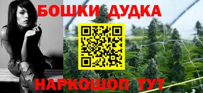 гидропоника Сланцы