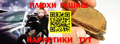 гидропоника Сланцы
