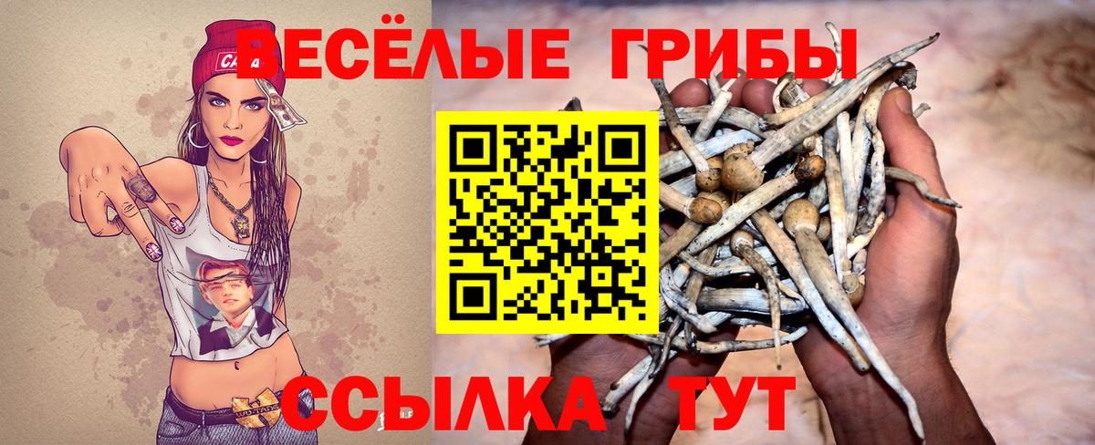 Псилоцибиновые грибы мицелий  Вход с VPN  Мурино 