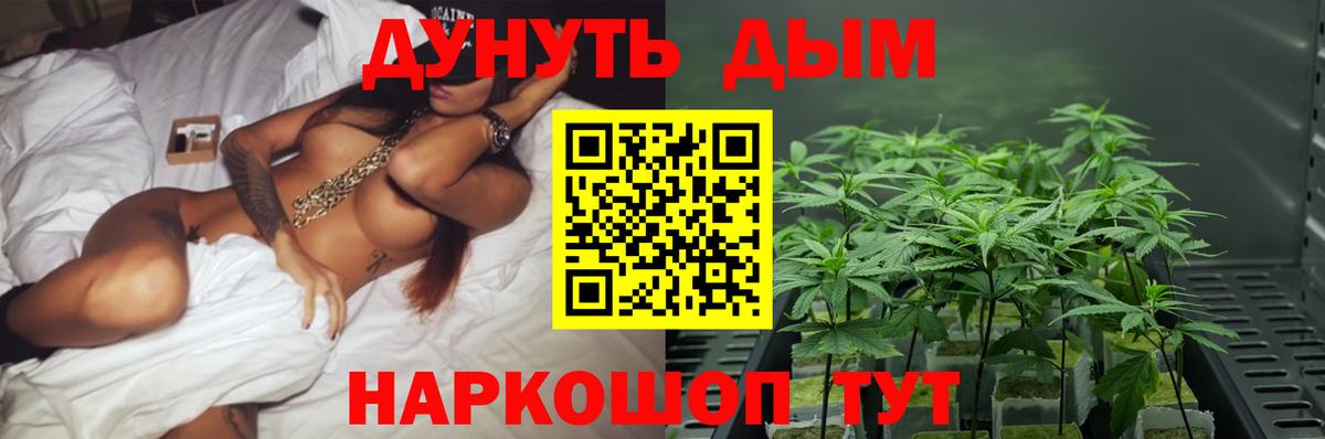 Мурино  Бошки марихуана White Widow  Шишки марихуана VHQ  Конопля Bruce Banner  Вход с VPN 
